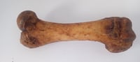Image 3 of Pork Femur 
