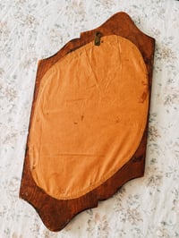 Image 2 of twin mirrors