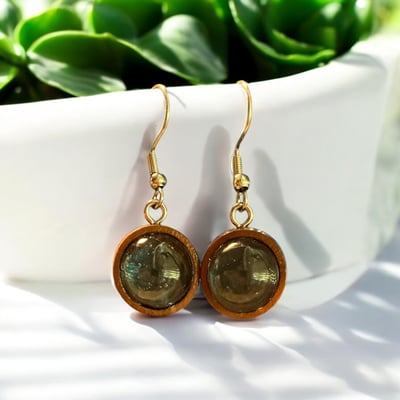 Image of Resin Green Dangle Earrings 