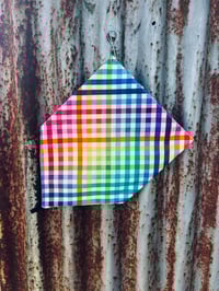 Rainbow Gingham