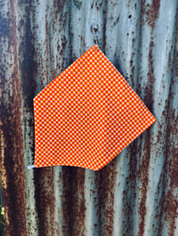 Orange Gingham Neckscarve