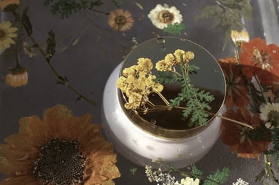 Image of Cocoa Body Butter (Deoderized)
