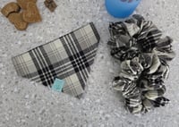 Image 1 of lobo spring market set