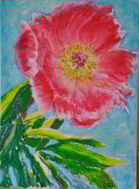 Image 4 of Sunlit Peony - print on the canvas