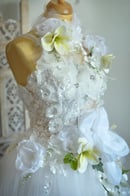 Image 1 of Order _T.D .
