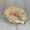 Soft Fawn Brindle Sighthound Sculpture