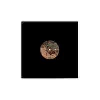 Image 5 of Cosmetic - Normale (Limited Edition Transparent Orange Vinyl LP)