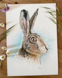 'Summer Hare' A4 Giclée Print