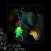 Image 3 of ☽ Fagus Quercifolia Aestas ☾