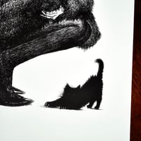 Image 3 of Black cat H 