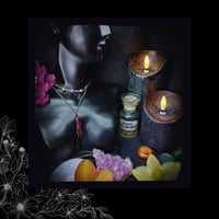 Image 3 of ☽ Penna Viola ☾