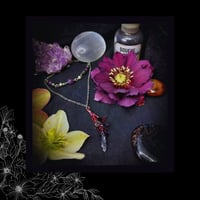 Image 4 of ☽ Penna Viola ☾