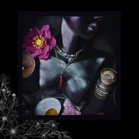 Image 5 of ☽ Penna Viola ☾