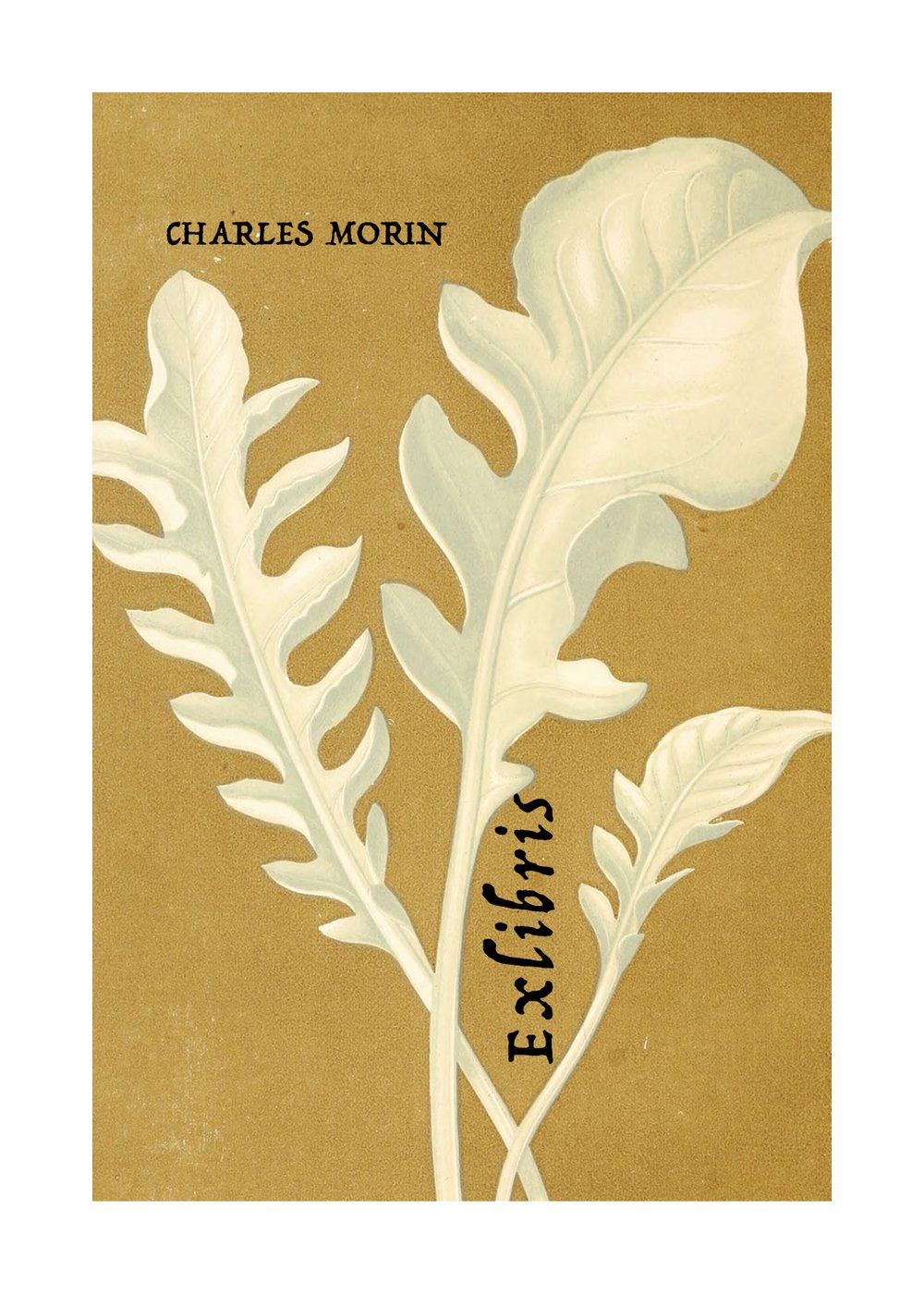 Image of 30 EX-LIBRIS