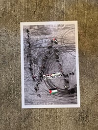 LA for Palestine Postcard 4x6