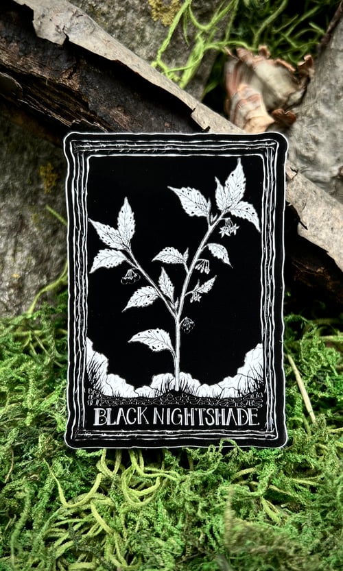 Image of SOVRIN X FORAGERCHEF BLACK NIGHTSHADE STICKER
