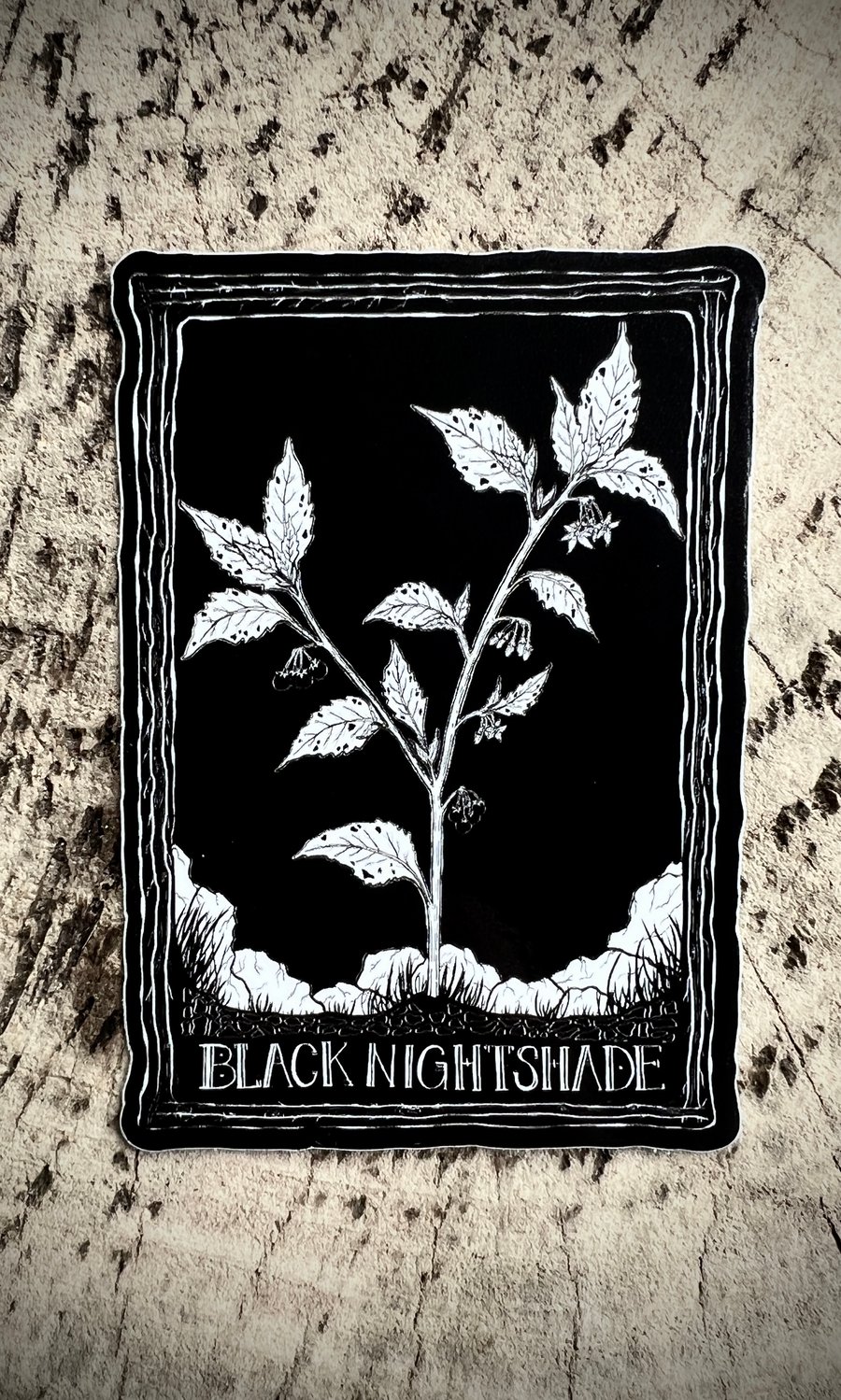 Image of SOVRIN X FORAGERCHEF BLACK NIGHTSHADE STICKER