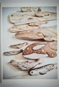 Image 4 of Ocean friends - mini gift set