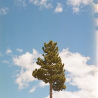 Lake Tahoe - Print 4