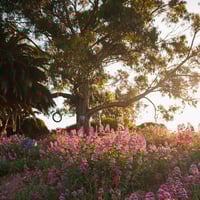 Albany Bulb - Print 1