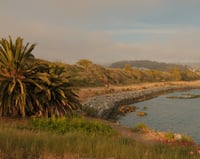 Albany Bulb - Print 4