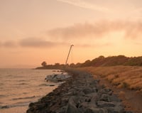 Albany Bulb - Print 7
