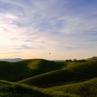 Mt.Diablo Foothills Print