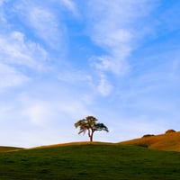 Mt.Diablo Foothills - Print 3