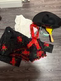 Image 2 of TNA Tag team Title Gear w/ instruments 