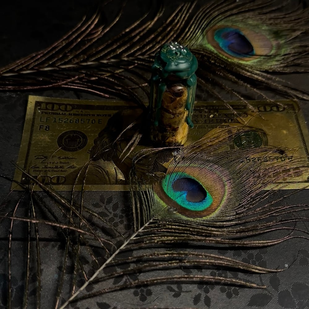 Image of Band$ Spell Jar ˚₊‧꒰ა $ ໒꒱ ‧₊˚