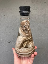 Image 1 of Ball Python