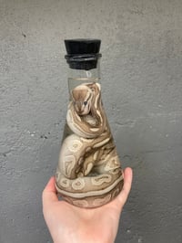 Image 4 of Ball Python