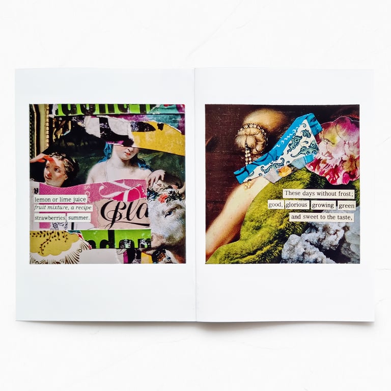 ‘hidden gems’ mini zine – ‘fruits of the desert’ haiku collage portraits Image 4