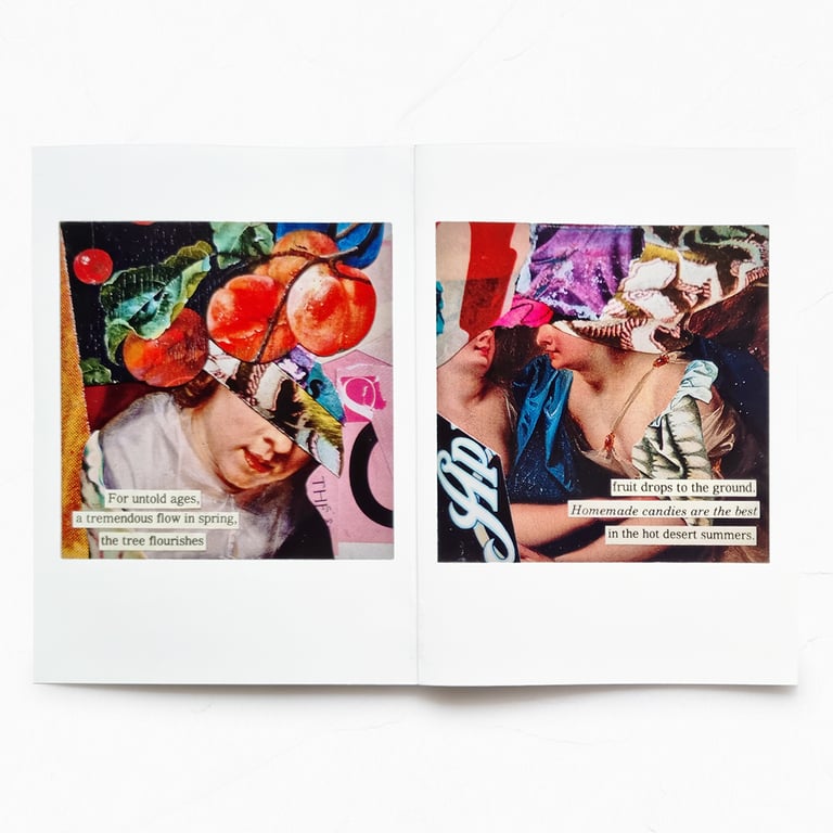 ‘hidden gems’ mini zine – ‘fruits of the desert’ haiku collage portraits Image 2
