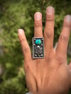 Horned Toad with Sonoran Gold turquoise Ring