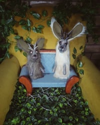 Image 1 of Jackalopes