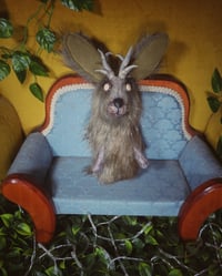 Image 4 of Jackalopes