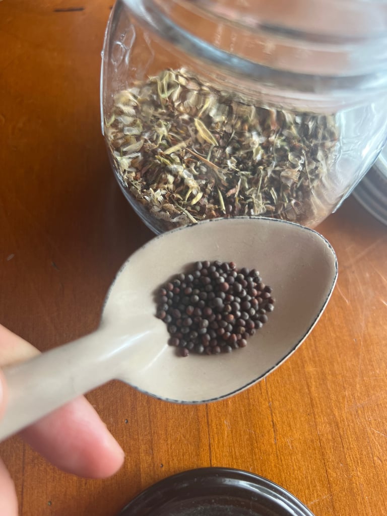 Microgreen Mix Image 3
