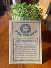 Microgreen Mix