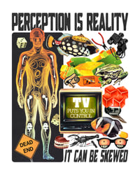 Perception Is Reality