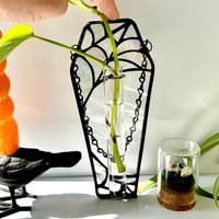 Image 2 of Spiderweb Propagation Station