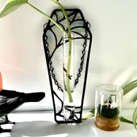 Image 1 of Spiderweb Propagation Station