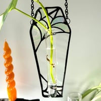 Image 3 of Spiderweb Propagation Station