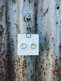 Tripical Glass Studs