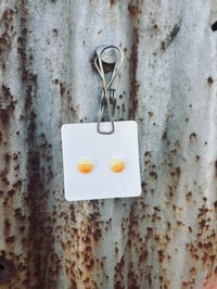 Yellow Studs