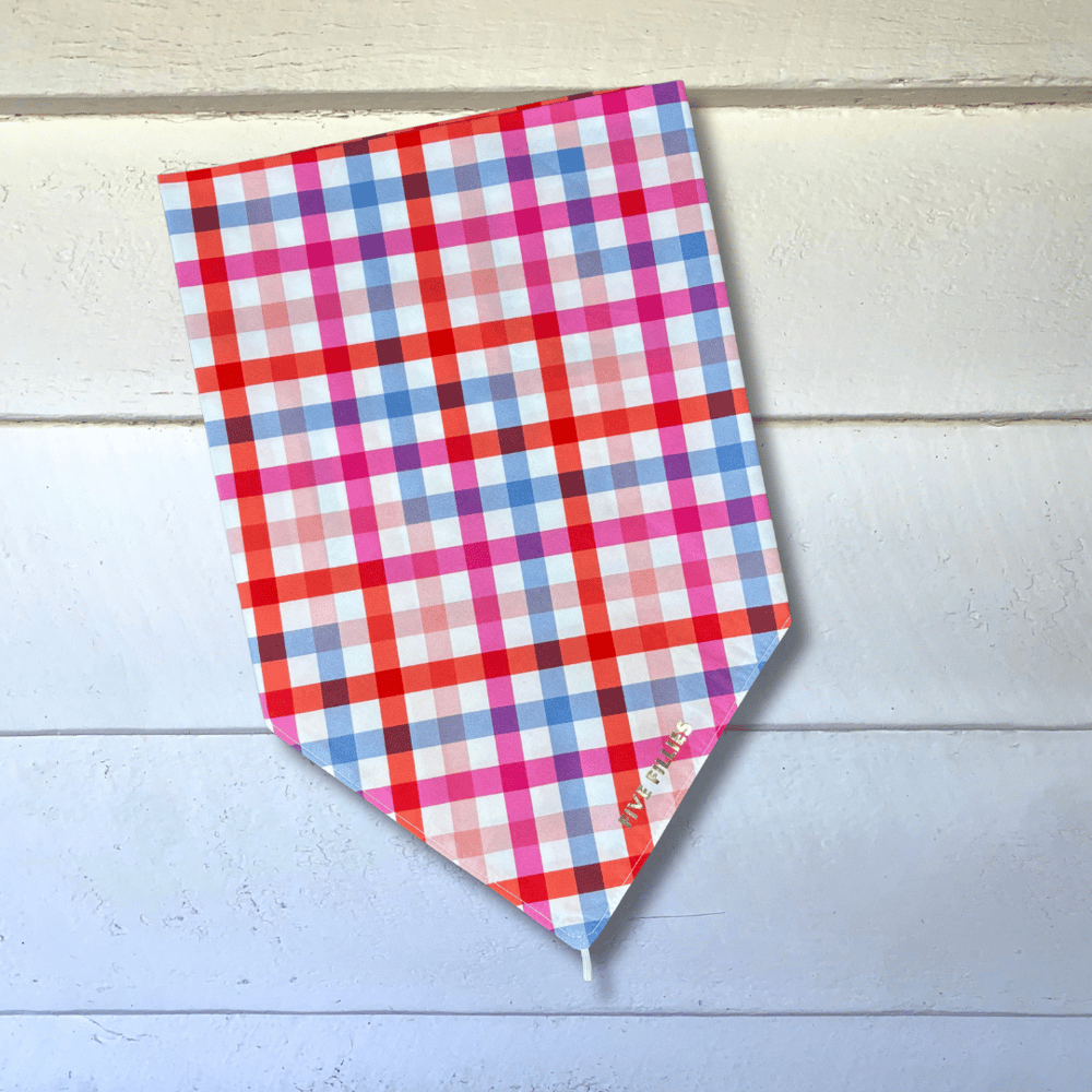 Image of Red, Pink + Blue Gingham Scarf