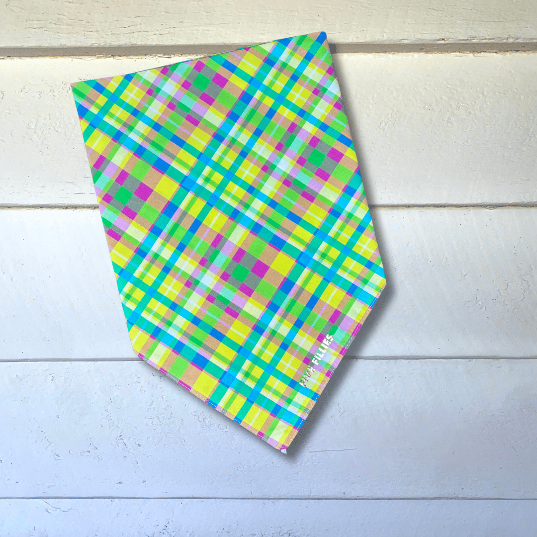 Image of Fluro Plaid Scarf