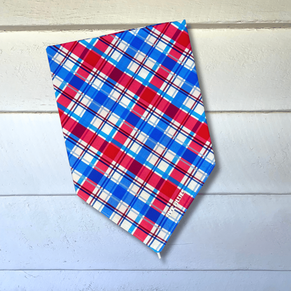 Image of Royal Blue + Red Plaid Scarf