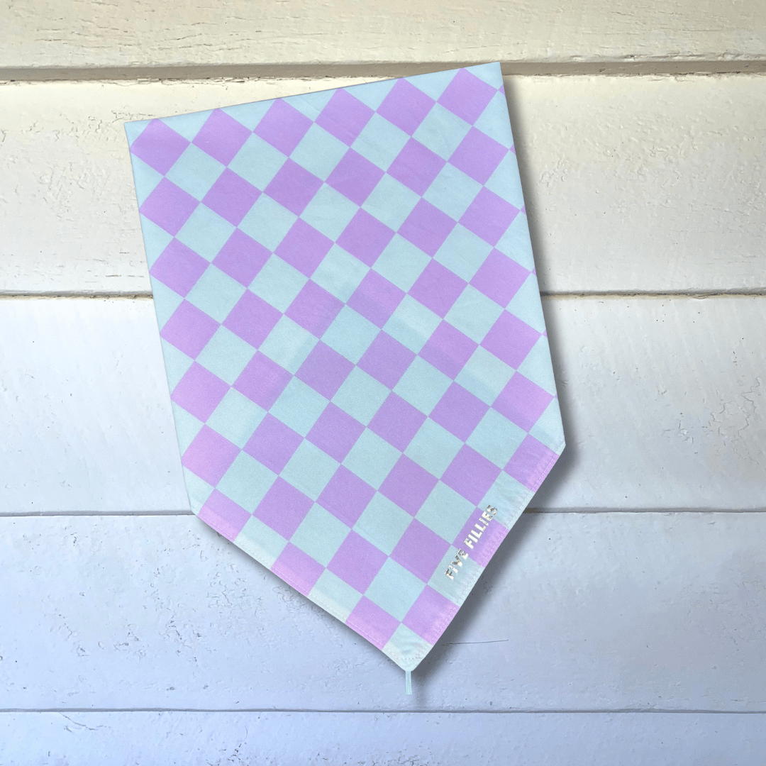 Image of Strawberries + Cream Check Scarf