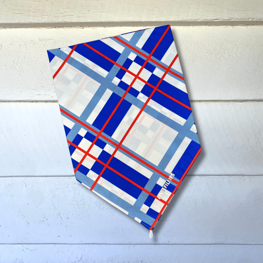 Image of White, Blue + Red Big Plaid Scarf